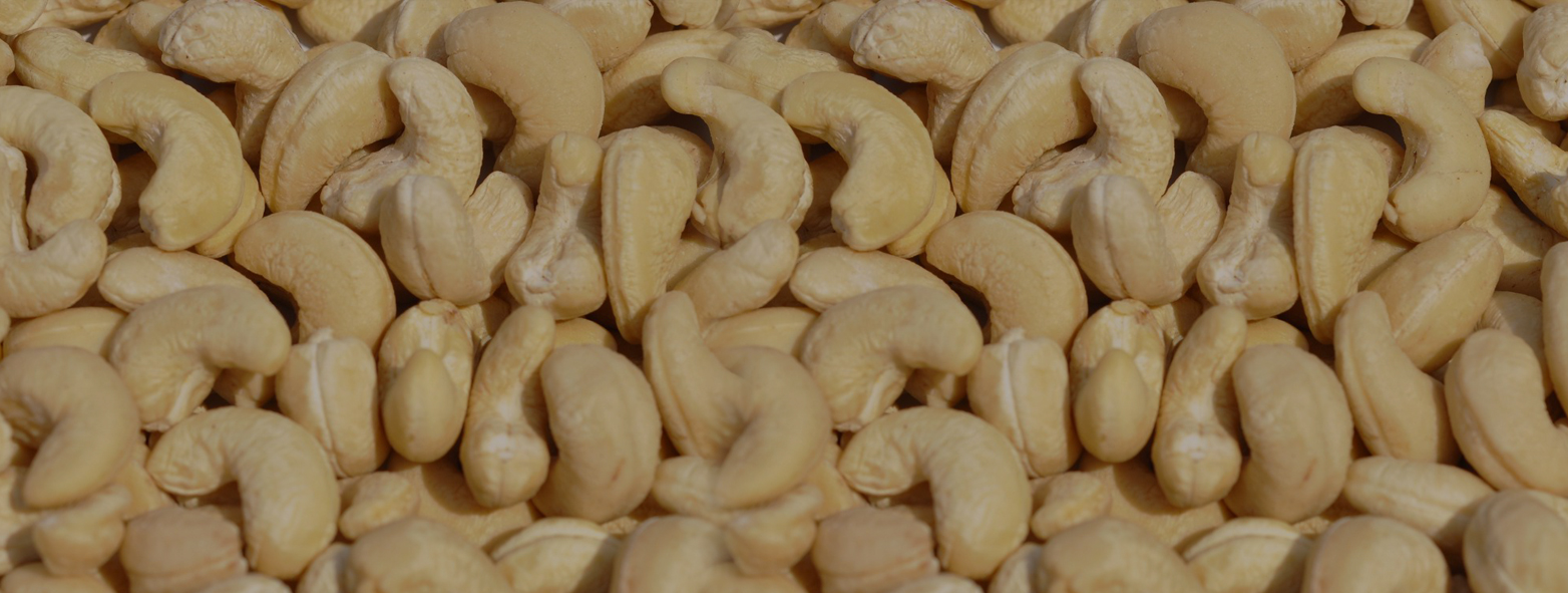 Cashew Kernel